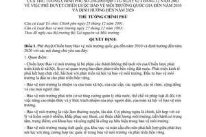 Quyết định 256/2003/QĐ-TTg Chiến lược bảo vệ môi trường quốc gia đến năm 2010 định hướng đến năm 2020