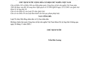 Lệnh công bố Luật Tổ chức Hội đồng nhân dân và Uỷ ban nhân dân 20/2004/L-CTN