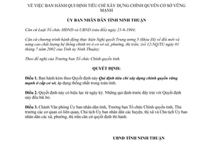 Quyết định số 19/2003/QĐ-UB tiêu chí xây dựng chính quyền cơ sở vững mạnh