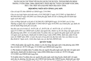 Nghị quyết 48/2003/NQ-HĐNDKXIII phân cấp nguồn thu chi cho từng cấp ngân sách