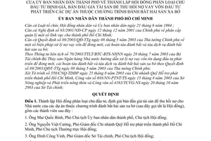 Quyết định 304/2003/QĐ-UB lập Hội đồng phân loại chủ đầu tư định giá bán đấu tài sản để thu hồi nợ vay vốn đầu tư phát triển dự án đánh bắt hải sản