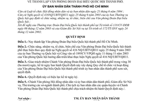 Quyết định 323/2003/QĐ-UB thành lập Văn phòng Đoàn Đại biểu Quốc hội thành phố