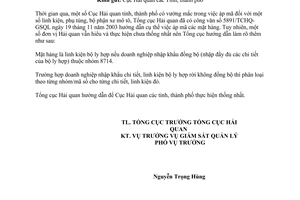 Công văn  125 TCHQ/GSQL áp mã thuế