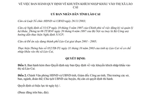 Quyết định 31/2004/QĐ-UB khuyến khích nhập khẩu Lào Cai