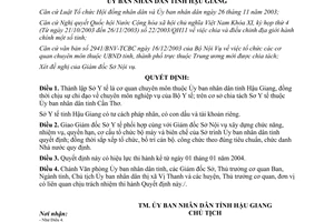 Quyết định 12/2004/QĐ-UBND thành lập sở y tế ủy ban nhân dân Hậu Giang