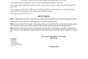 Quyết định số 13/2004/QĐ-UB thành lập Sở Tài nguyên Môi trường Cần Thơ