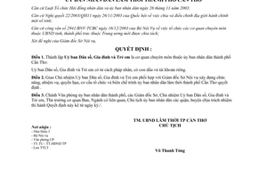 Quyết định 22/2004/QĐ-UB thành lập Ủy ban Dân số Gia đình Trẻ em Cần Thơ