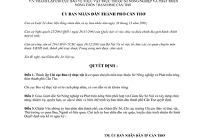 Quyết định 41/2004/QĐ-UB thành lập Chi cục Bảo vệ thực vật Cần Thơ