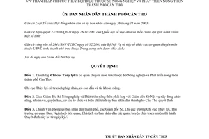 Quyết định 45/2004/QĐ-UB thành lập Chi cục Thủy lợi Cần Thơ