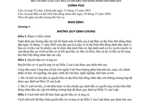 Nghị định 19/2004/NĐ-CP hướng dẫn Luật bầu cử đại biểu Hội đồng nhân dân năm 2003
