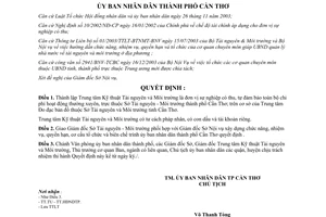 Quyết định 142/2004/QĐ-UB thành lập Trung tâm Kỹ thuật Tài nguyên Môi trường Cần Thơ