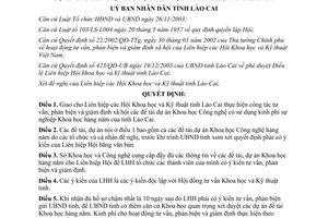 Quyết định 14/QĐ-UB 2004 tư vấn phản biện và giám định xã hội các đề tài dự án Lào Cai
