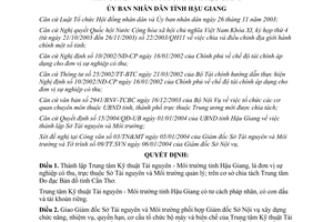 Quyết định 24/2004/QĐ-UB thành lập trung tâm kỹ thuật tài nguyên môi trường Hậu Giang
