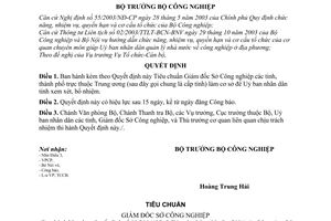 Quyết định 08/2004/QĐ-BCN Tiêu chuẩn Giám đốc Sở Công nghiệp