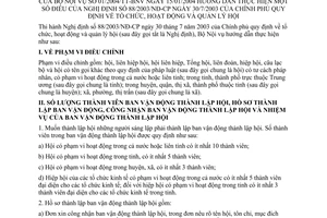 Thông tư 01/2004/TT-BNV tổ chức, hoạt động quản lý hội hướng dẫn thực hiện Nghị định 88/2003/NĐ-CP