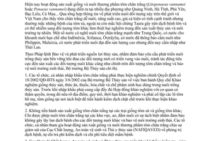 Chỉ thị 01/2004/CT-BTS tăng cường quản lý tôm chân trắng Việt Nam