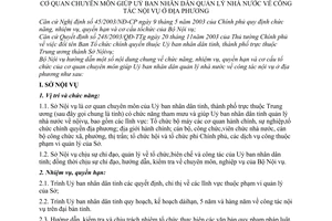 Thông tư 05/2004/TT-BNV hướng dẫn chức năng nhiệm vụ quyền hạn cơ cấu tổ chức cơ quan chuyên môn giúp UBND quản lý nhà nước công tác nội vụ địa phương