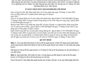 Quyết định 06/2004/QĐ-UB hợp nhất Đội Quản lý trật tự đô thị quận huyện Quy chế mẫu tổ chức hoạt động Tổ Quản lý trật tự đô thị phường xã thị trấn