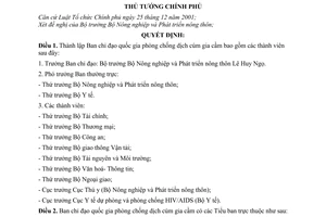 Quyết định 13/2004/QĐ-TTg thành lập Ban chỉ đạo quốc gia phòng chống dịch cúm gia cầm