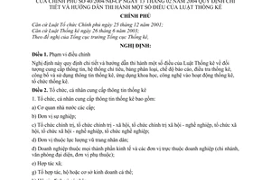 Nghị định 40/2004/NĐ-CP  hướng dẫn  Luật Thống kê
