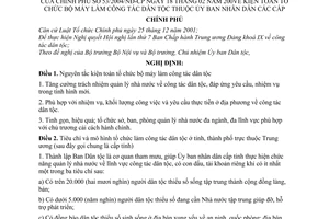 Nghị định 53/2004/NĐ-CP  kiện toàn tổ chức bộ máy làm công tác dân tộc thuộc ủy ban nhân dân các cấp
