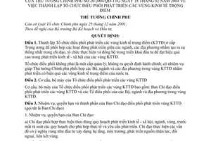 Quyết định 20/2004/QĐ-TTg thành lập Tổ chức điều phối phát triển  vùng kinh tế trọng điểm