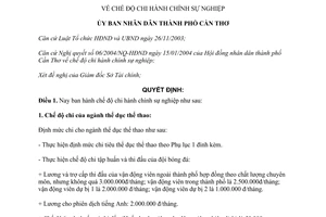 Quyết định số 222/2004/QĐ-UB chế độ chi hành chính sự nghiệp Cần Thơ