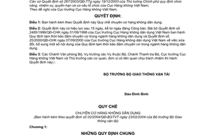 Quyết định 02/2004/QĐ-BGTVT Quy chế chuyên cơ hàng không dân dụng