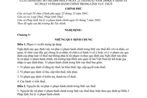 Nghị định 100/2004/NĐ-CP xử phạt vi phạm hành chính trong lĩnh vực thuế