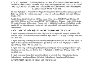 Thông tư 05/2004/TT-BLĐTBXH chế độ trợ cấp một lần thân nhân người có công cách mạng chết trước ngày 01/01/1995 hướng dẫn Nghị định 59/2003/NĐ-CP