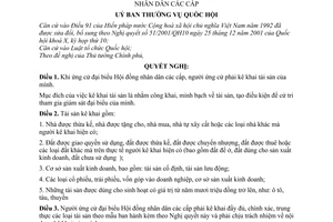 Nghị quyết 487/2004/NQ-UBTVQH11 kê khai tài sản đối với những người ứng cử đại biểu Hội đồng nhân dân các cấp