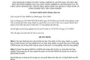 Quyết định 120/2004/QĐ-UBND chức năng quyền hạn Sở Công nghiệp Lào Cai