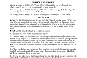 Quyết định 27/2004/QĐ-BTC chức năng nhiệm vụ Cục tài chính doanh nghiệp