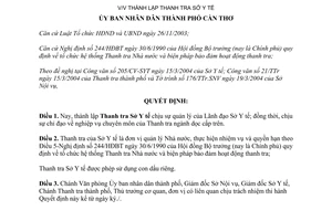 Quyết định 230/2004/QĐ-UB thành lập Thanh tra Sở Y tế Cần Thơ