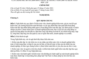 Nghị định 105/2004/NĐ-CP kiểm toán độc lập