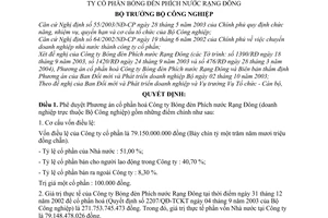 Quyết định 21/2004/QĐ-BCN chuyển Công ty Bóng đèn Phích nước Rạng Đông thành Công ty cổ phần