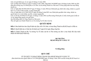 Quyết định 313/2004/QĐ-BKH  Quy chế tổ chức hoạt động Thanh tra Bộ Kế hoạch Đầu tư