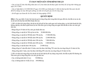 Quyết định 26/2004/QĐ-UBBT thu hoàn lại giá trị rừng trồng chủ đầu tư dự án du lịch Bình Thuận