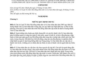Nghị định 107/2004/NĐ-CP số lượng Phó Chủ tịch cơ cấu thành viên ủy ban nhân dân các cấp