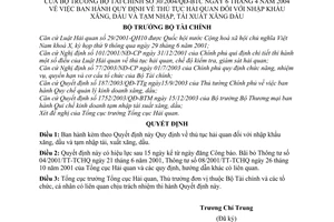 Quyết định 30/2004/QĐ-BTC  thủ tục hải quan nhập khẩu xăng, dầu,tạm nhập, tái xuất