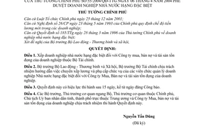 Quyết định 55/2004/QĐ-TTg  Doanh nghiệp nhà nước hạng đặc biệt