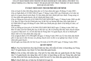 Quyết định 93/2004/QĐ-UB Quy chế (mẫu) tổ chức hoạt động Trung tâm Y tế quận-huyện thuộc ủy ban nhân dân quận-huyện