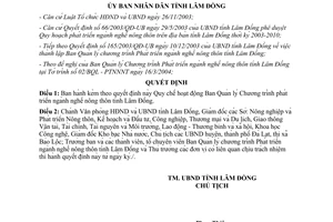 Quyết định 65/2004/QĐ-UB quy chế ban quản lý chương trình phát triển ngành nghề nông thôn Lâm Đồng