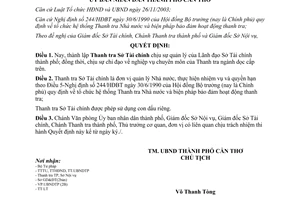 Quyết định 238/2004/QĐ-UB thành lập Thanh tra Sở Tài chính Cần Thơ