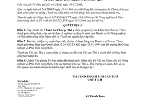 Quyết định 242/2004/QĐ-UB thành lập Thanh tra Chi cục Thú y Cần Thơ