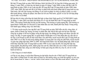 Chỉ thị 15/2004/CT-TTg tổ chức triển khai thi hành Bộ Luật Tố tụng hình sự năm 2003