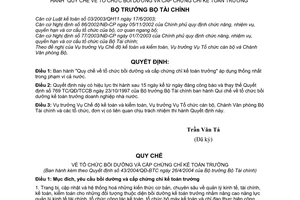Quyết định 43/2004/QĐ-BTC  Quy chế  tổ chức bồi dưỡng cấp chứng chỉ Kế toán trưởng