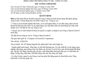 Quyết định 70/2004/QĐ-TTg  thí điểm chuyển Công ty Hợp tác kinh tế sang tổ chức hoạt động mô hình Công ty mẹ con