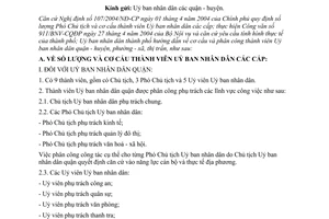 Công văn  2610/UB-VX  hướng dẫn cơ cấu thành viên Uỷ ban nhân dân quận - huyện, phường-xã, thị trấn