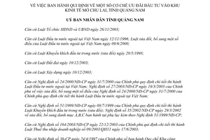 Quyết định 30/2004/QĐ-UB cơ chế ưu đãi đầu tư Khu kinh tế mở Chu Lai Quảng Nam